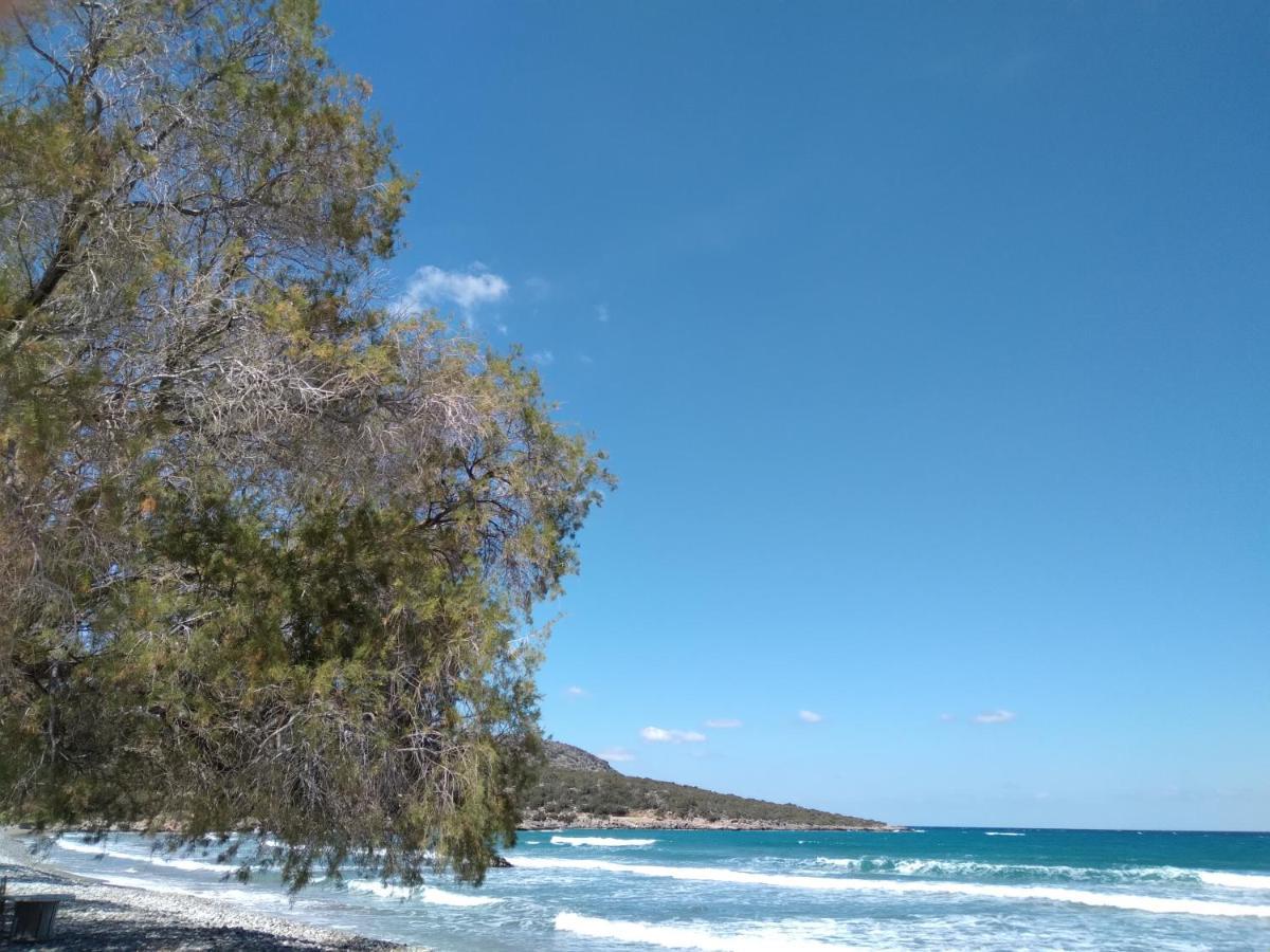 Almira Sea View Appartment Ίστρο Εξωτερικό φωτογραφία